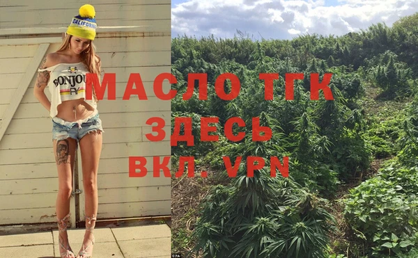 прущие грибы Нестеровская